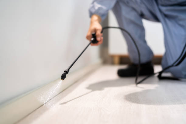 Licensed Pest Control service in Rockcreek, OR - Show Me Pest Control